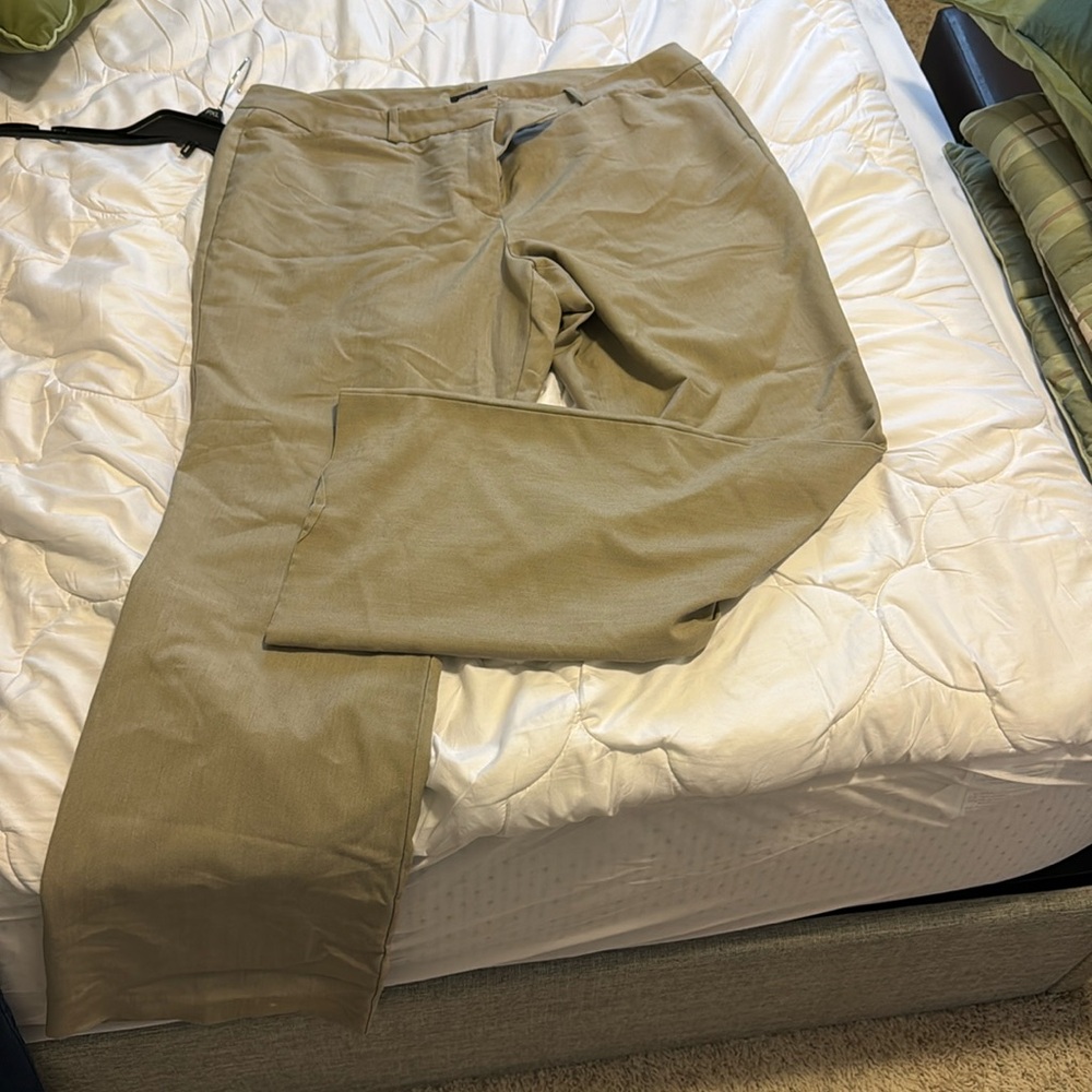 Women’s dress pants